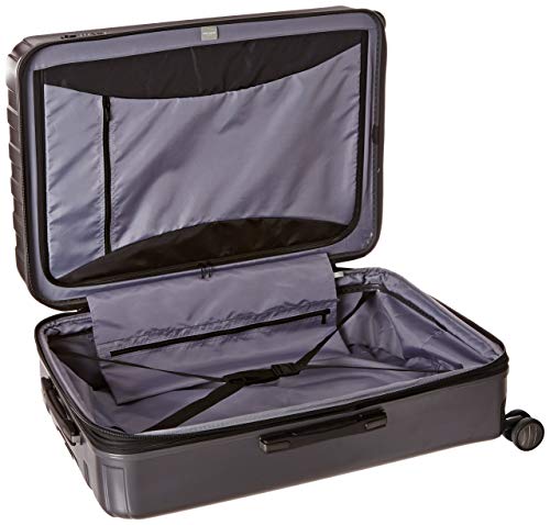 DELSEY PARIS Titanium Hardside Expandable Luggage with Spinner Wheels Checked Luggage, Graphite, Checked-Large 29 Inch - color: Graphite, size: Checked-Large 29 Inch