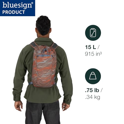Osprey Daylite 신치 백팩 - 하이킹, 축제 및 일상 생활을 위한 경량 여행 가방, 퍼지 윈도우 프린트/토렌트 블루 - color: 퍼지 윈도우 프린트-토렌트 블루