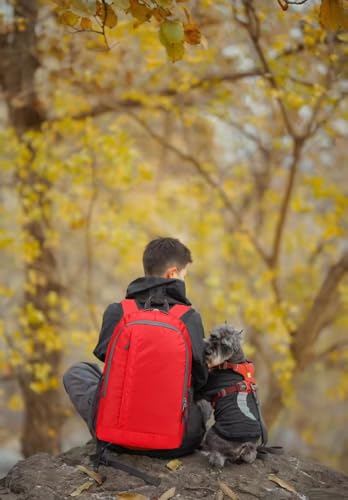 Ultra Packable Hiking Backpack, Foldable Travel Daypack, 25L - color: Red