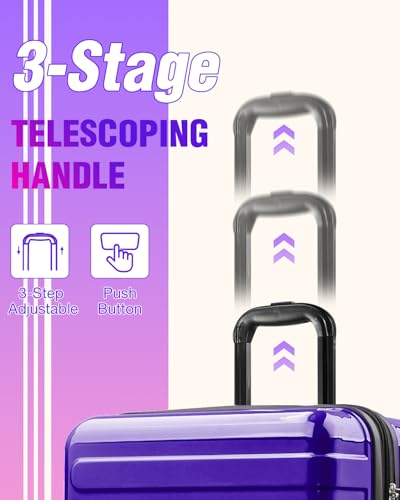 Luggage Sets 2 Piece, Hard Shell Expandable Carry on Suitcase with Spinner Wheels and TSA Lock, Lightweight Travel Luggage Set - color: Berry, size: 2 Piece Set (20/24inch)