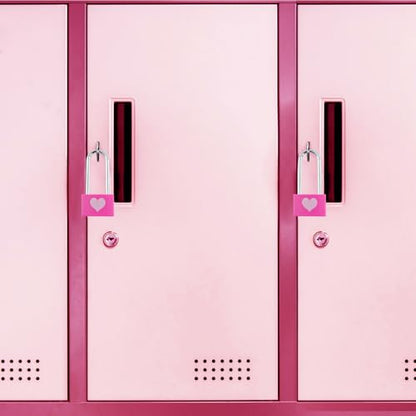 Dnyta 2 Packs Keyed Padlocks Long Shackle Padlock with Key Decorative Locks - style: Square heart pattern- Pink