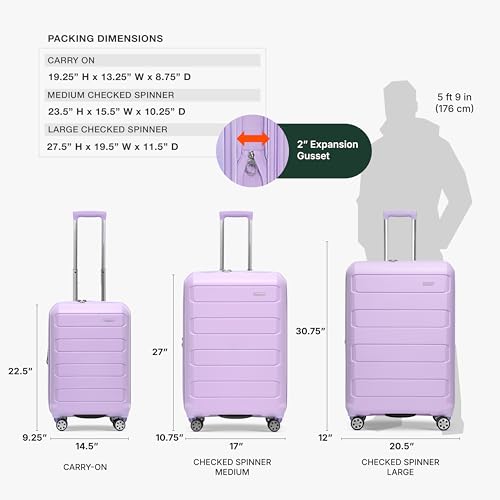Traveler's Choice Pagosa Hardshell Expandable Luggage with Spinner Wheels, Lavender, 22-Inch Carry-on - color: Lavender, size: 22-Inch Carry-on