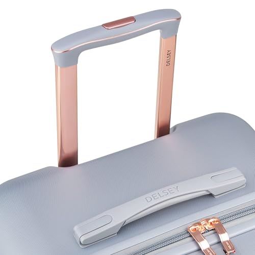 DELSEY PARIS Cruise 3.0, 26 Inch Checked Trunk Luggage, Platinum - color: Platinum, size: Checked 26 Inch Trunk