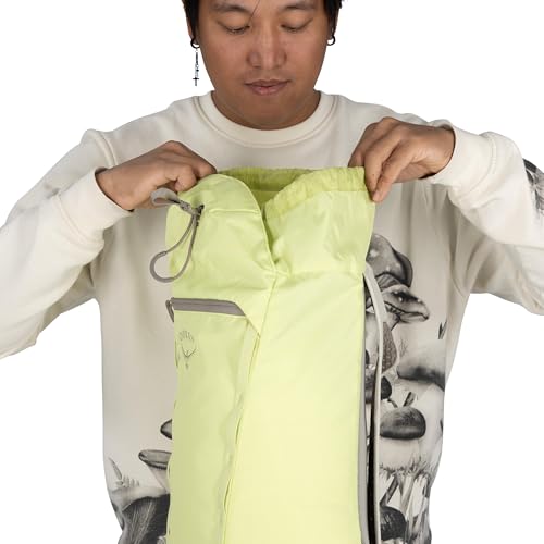 Osprey Daylite 신치 백팩 - 하이킹, 축제 및 일상 생활을 위한 경량 여행 가방, 퍼지 윈도우 프린트/토렌트 블루 - color: 퍼지 윈도우 프린트-토렌트 블루