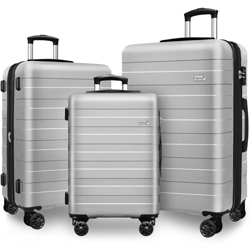 KEYTANG Zebra Luggage Sets 3 Piece, 20" Carry On Luggage with Spinner Wheels, Hardside Business Travel Suitcase Set with TSA Lock, Lightweight Suitcase,20/24/28 inch,Silver - color: Silver, size: 555-3PCS