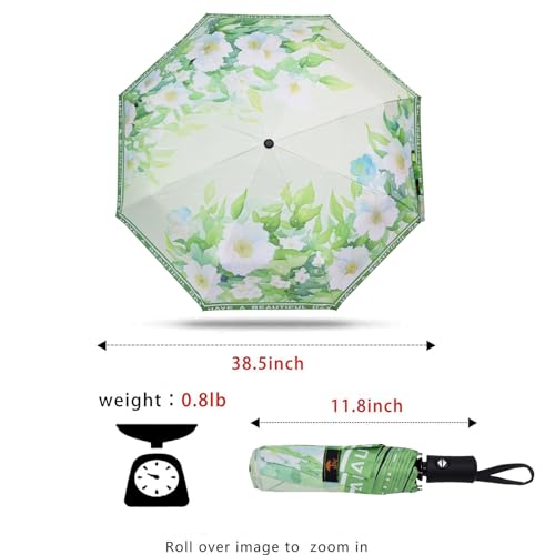 SY COMPACT Travel Umbrella - Windproof Automatic Compact Umbrellas for Rain - color: green leaves white flowers