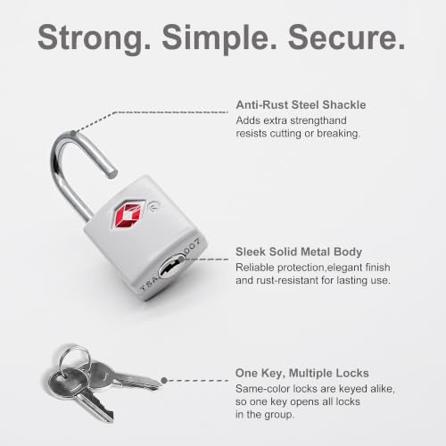 TSA Locks for Luggage, Suitcase, Small Padlock with Key, Metal - color: Gray