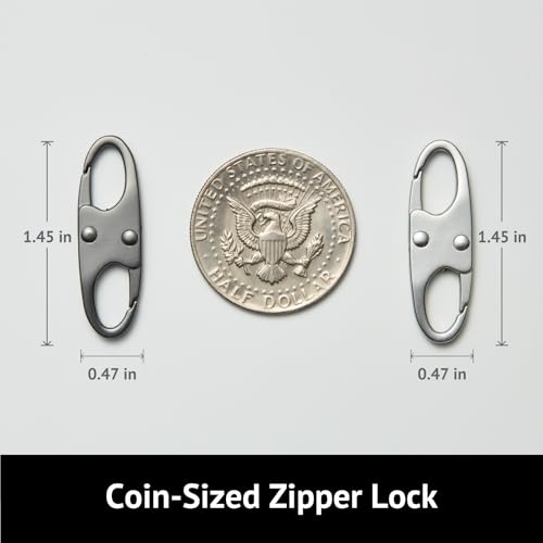 zelin Anti Theft Zipper Clip, Zipper Locks, Travel Essentials,8Pcs Silver - color: 8 Frost Silver