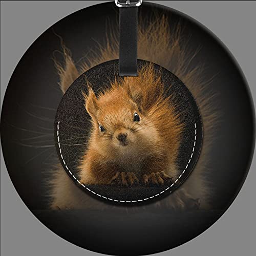 Luggage Tag Squirrel Animal 26, Pu Leather Bag Travel Suitcases Id Identifier Baggage Label for Women Men Boys Girls