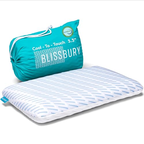 BLISSBURY Cooling Stomach Sleeper Pillow, Low Loft Memory Foam, 3.3 Inch - color: Cooling (White), size: 3.3"H (Queen)