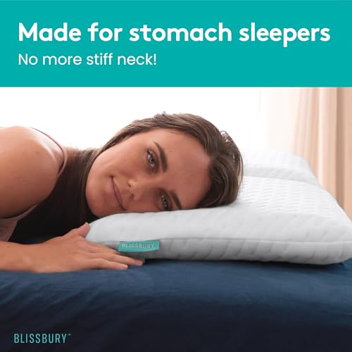 BLISSBURY Cooling Stomach Sleeper Pillow, Thin Memory Foam, 2.2 Inch - color: Cooling (White), size: 2.2"H (Queen)
