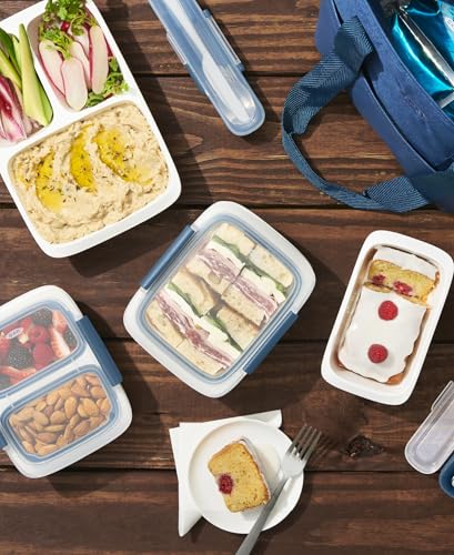 OXO Good Grips Prep & Go 2 Cup Divided Food Storage Container - Ocean Blue - color: Ocean Blue, style: 2 Cup Divided