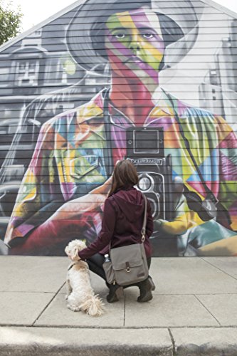 Travelon Anti-Theft Courier Tour Bag - color: Stone Gray