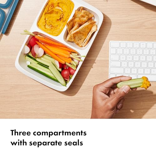 OXO Good Grips Prep & Go 4.1 Cup Divided Food Storage Container -Ocean Blue - color: Ocean Blue, style: 4.1 Cup Divided