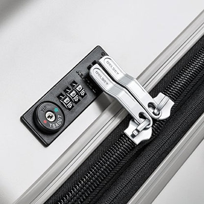 DELSEY PARIS Titanium Hardside Expandable Luggage with Spinner Wheels Checked Luggage, Silver, Checked-Medium 25 Inch - color: Silver, size: Checked-Medium 25 Inch