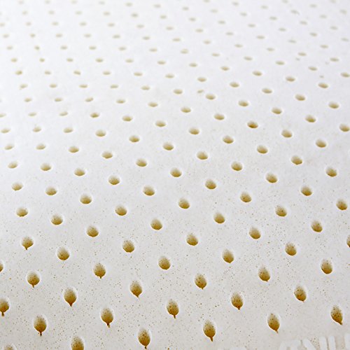 I AM Natural Breathable Talalay Latex Pillow, Queen - size: Queen