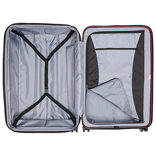DELSEY PARIS Titanium Hardside Expandable Luggage with Spinner Wheels, Black Cherry Red, 2-Piece Set (21/29) - color: Black Cherry Red, size: 2-Piece Set (21/29)