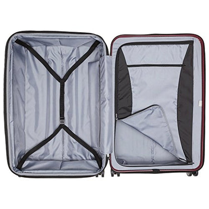 DELSEY PARIS Titanium Hardside Expandable Luggage with Spinner Wheels, Black Cherry Red, 2-Piece Set (21/29) - color: Black Cherry Red, size: 2-Piece Set (21/29)