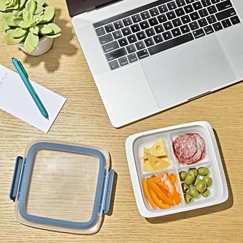OXO Good Grips Prep & Go Slim Container with Removable Divider - Ocean Blue - color: Ocean Blue, style: Slim with Removable Divider