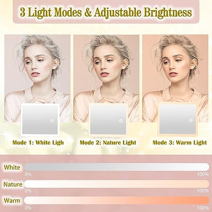 ViKert Travel Makeup Bag with Light Up Mirror,Makeup Travel Case with adjustable dividers,Waterproof Makeup Train Case,lighted Makeup Case with Detachable Mirror
