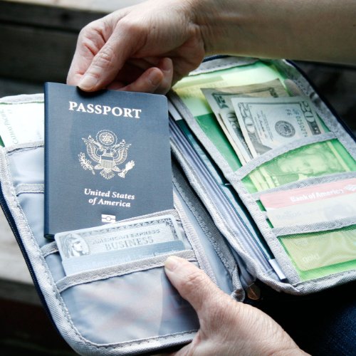 Wrapables® Passport and Travel Documents Holder, Green - color: Green
