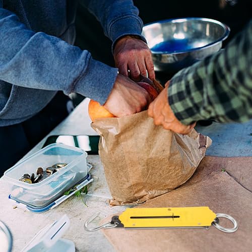 Spring Fish Scale, Portable Fishing Scale with Hook Large Handle Hanging Luggage Handheld Aluminum Tube Weigher