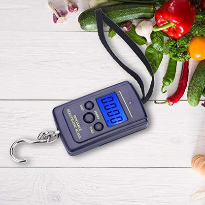 Fishing Scale, Weiheng WH-A01L Portable Plastic Electric Digital Hanging Scale with Hook Tool Fishing Luggage (40kg*10g Without Battery Delivery)
