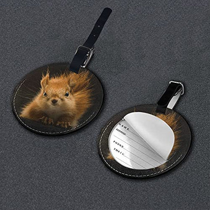 Luggage Tag Squirrel Animal 26, Pu Leather Bag Travel Suitcases Id Identifier Baggage Label for Women Men Boys Girls