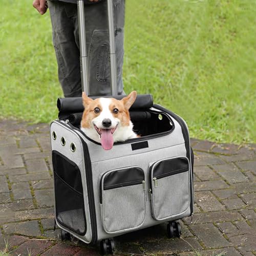 Backpack Trolley with 5 Swivel Wheels, Large Base Folding Luggage Cart - size: 5 Wheels with Larger Base