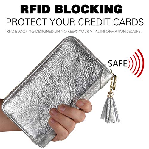 Easyoulife Credit Card Holder Wallet Womens Zipper Leather Case Purse RFID Blocking - color: Silver