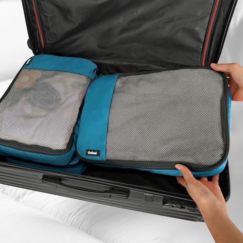 Packing Cubes for Travel,4 Set Packing Cubes for Suitcases,Lightweight Mesh Luggage Organizer Bag with Double Zipper,Blue - color: Blue