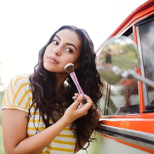 4 in 1 Makeup Brush Set, Travel Makeup Brushes with Case, Foundation Brush/Blush Brush, Eyeshadow Powder Brush,Concealer Brush (pink-plastic case) - style: pink-plastic case