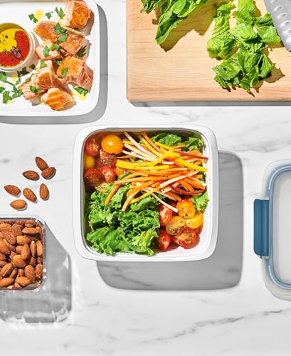 OXO Good Grips Prep & Go Food Storage Salad Container - 6.3 Cup, Ocean Blue - color: Ocean Blue, style: Salad Container