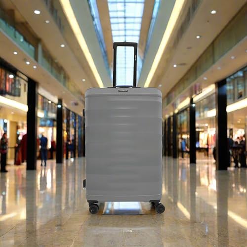 DUKAP RAV 28-Inch Large Hardside Spinner Luggage Durable Zippered Silver - size: 28 Inch