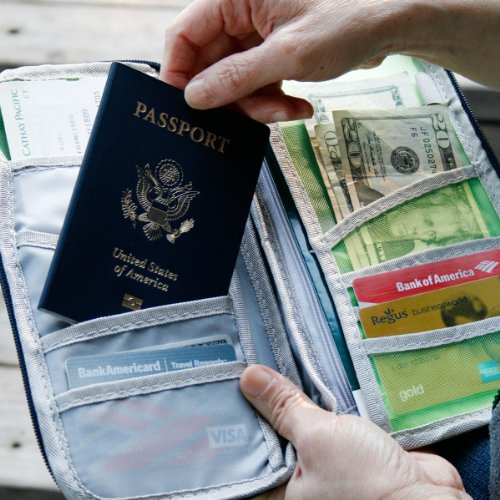 Wrapables® Passport and Travel Documents Holder, Pink - color: Pink