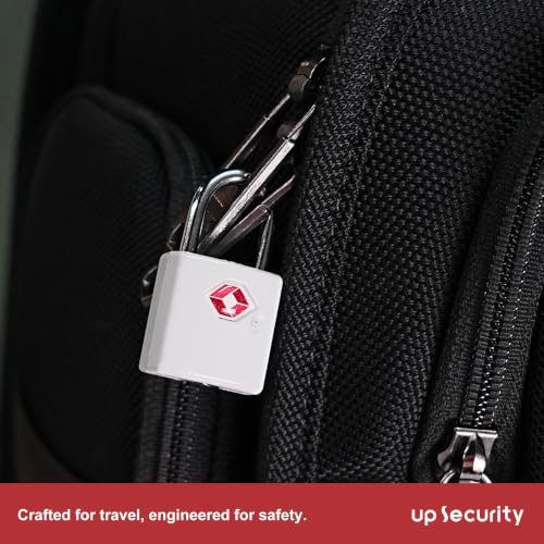 TSA Locks for Luggage, Suitcase, Small Padlock with Key, Metal - color: Gray