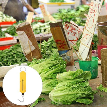 Spring Fish Scale, Portable Fishing Scale with Hook Large Handle Hanging Luggage Handheld Aluminum Tube Weigher