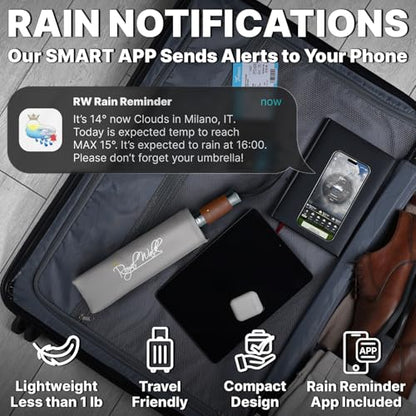 Royal Walk Compact Travel Umbrella for Rain, Windproof, Small & Portable - color: Grey