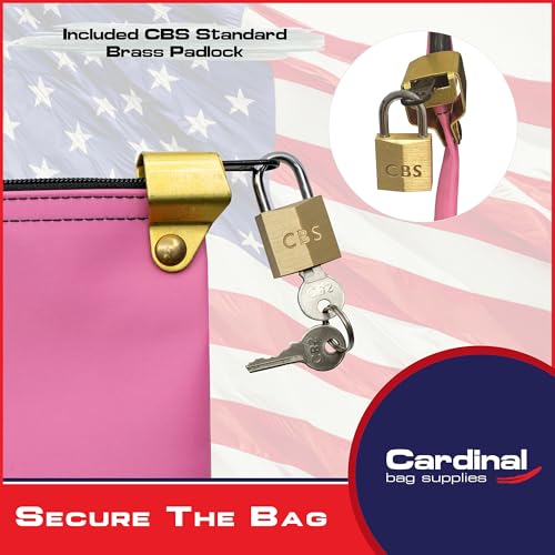 Medication Security Bag with Padlock, Pink - color: Pink