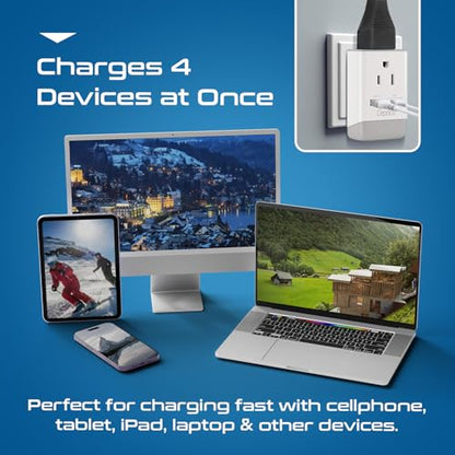 Ceptics Switzerland Plug Adapter, Travel with QC 3.0 & PD, Safe Dual USB & USB-C - 2 USA Socket Compact & Powerful - Quick Charge 3.0 & Power Delivery - Type J AP-11A - Fast Charging - size: 1 Pack, style: Type J - PD 20W USB-C
