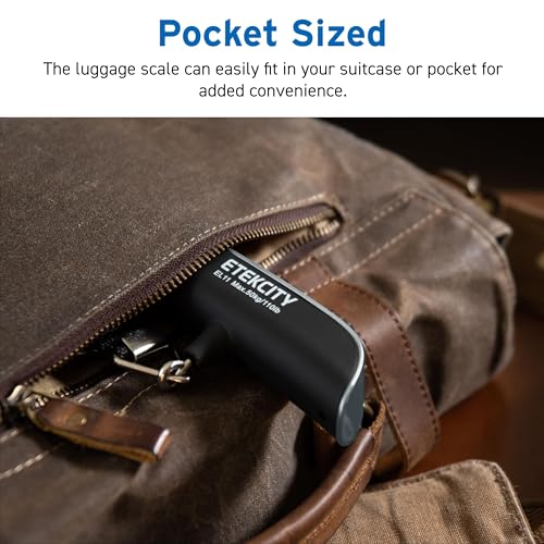 Etekcity Luggage Scale, Digital Suitcase Weight Scale for Travel, 110 lb - color: Charcoal Gray