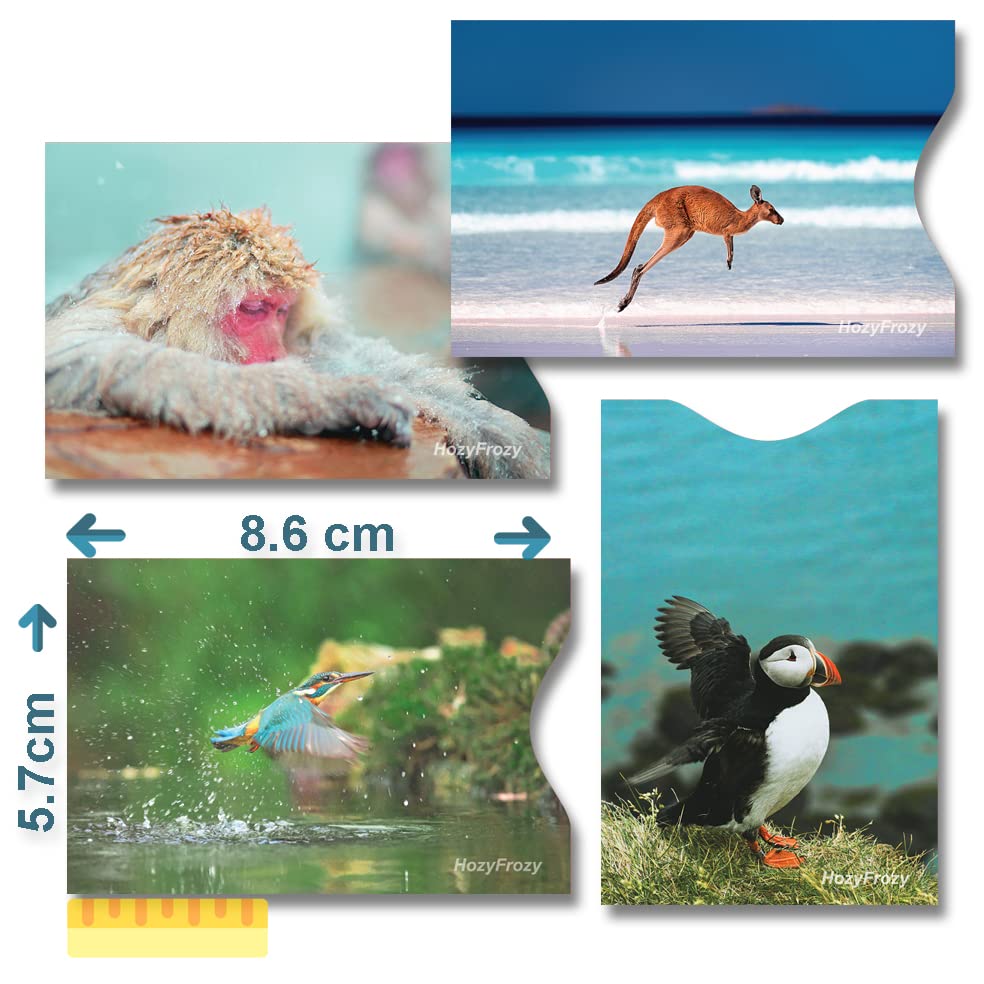 RFID Blocking Card Sleeves 8 Pack, Easy-to-Identify Credit Card Protector with Premium Wildlife Photography Designs, Slim RFID Wallet Sleeves for Credit, Debit & ID Cards, Anti-Theft Protection